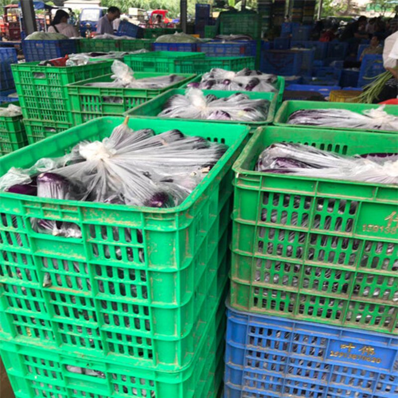 临海果蔬批发：市场工具大比拼
