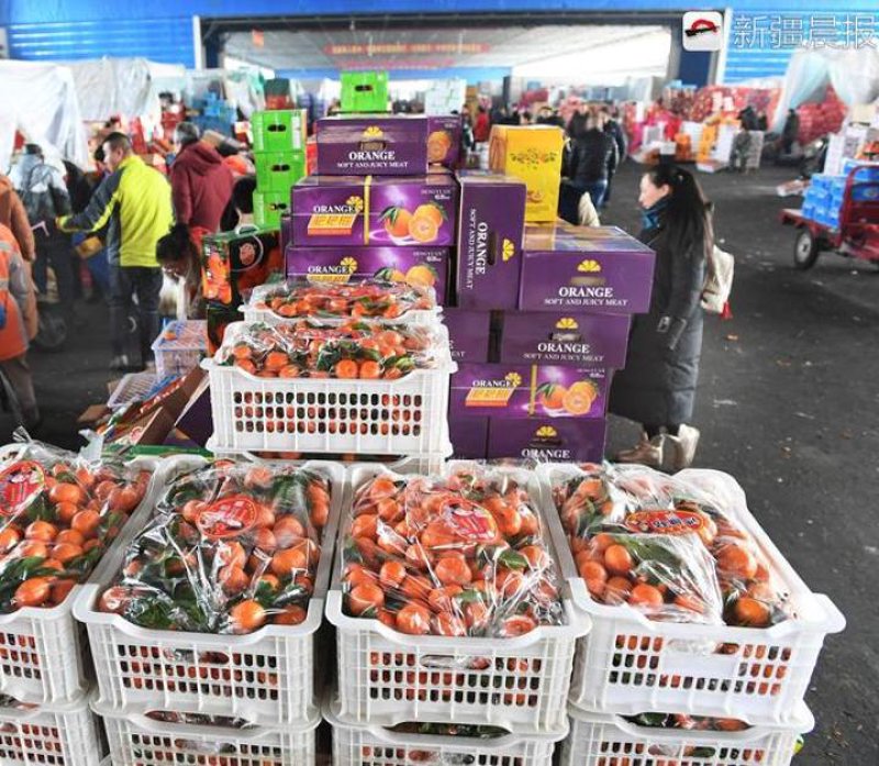 本地蔬菜批发，选择新鲜与实惠的秘诀在哪里？