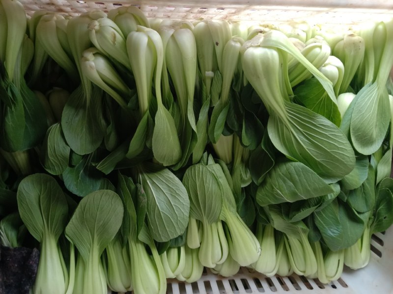 本地蔬菜批发：如何挑选新鲜食材？